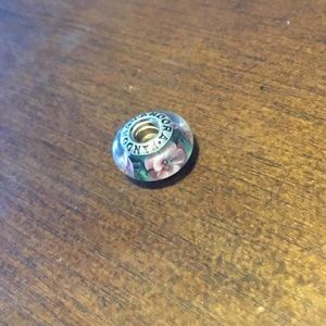 Pandora charm